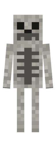 Minecraft skeleton front render: the full body face on, level with the camera