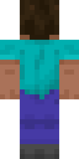 The back of Steve, the default Minecraft skin, as a flat image